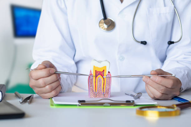 Best Emergency Dentist for Lost Fillings or Crowns in Mount Carmel, IL